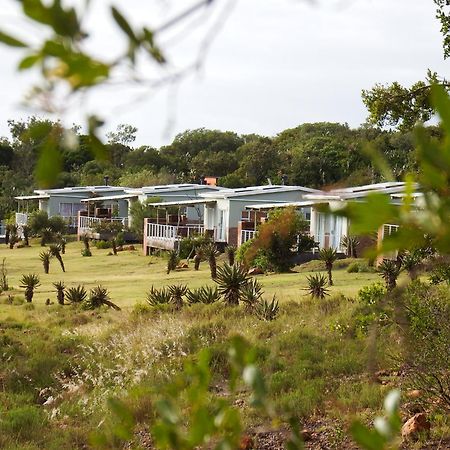 Stoneyvale Cottages Grahamstown Dış mekan fotoğraf