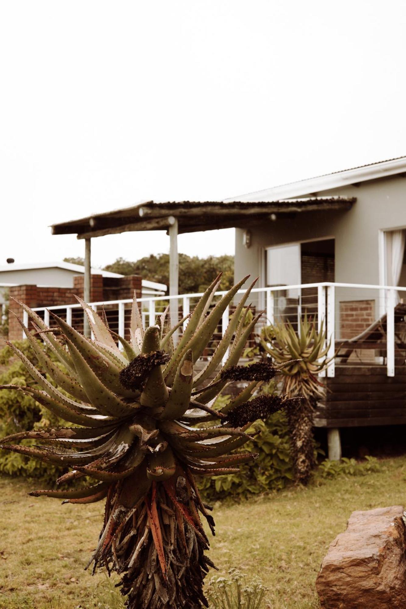 Stoneyvale Cottages Grahamstown Dış mekan fotoğraf