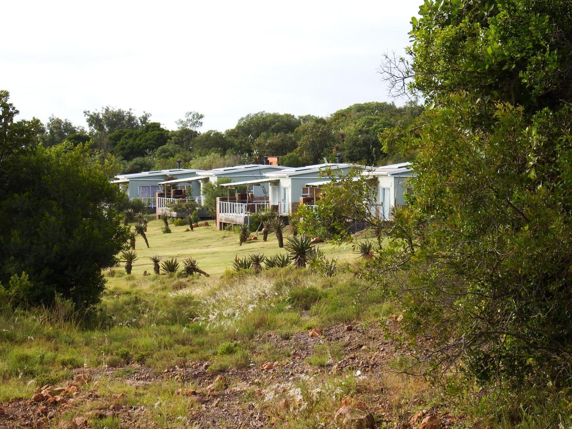 Stoneyvale Cottages Grahamstown Dış mekan fotoğraf