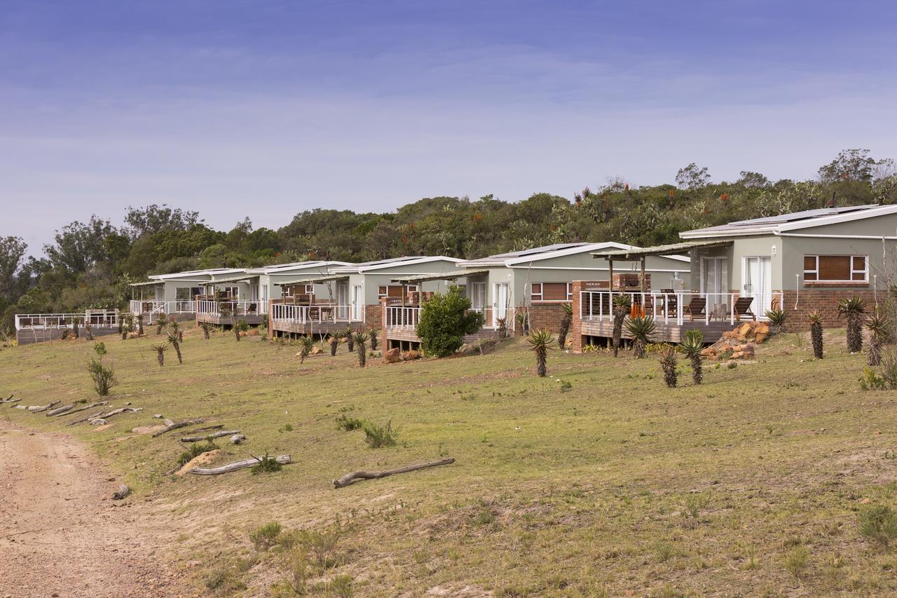 Stoneyvale Cottages Grahamstown Dış mekan fotoğraf